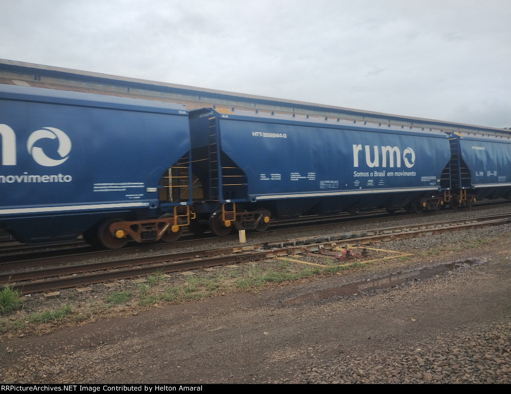 RUMO HTT-352244-0
